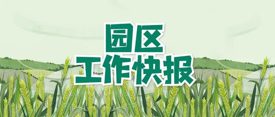 園區(qū)工作快報「3期」為什么...