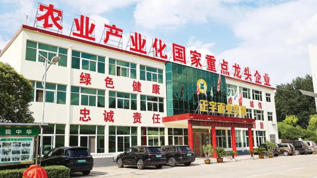 喜報！安徽正宇面業(yè)入選《...